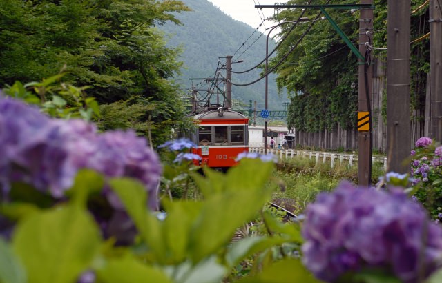 1. You can enjoy the lovely sceneries from the Hakone Mountain Train