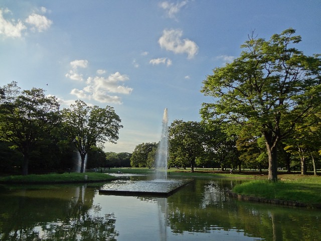 2. Yoyogi-Kōen Park