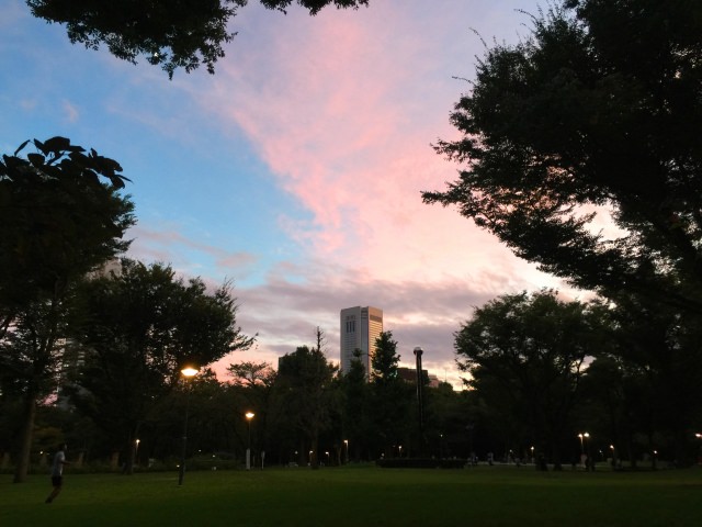 2. Shinjuku Chuo Park