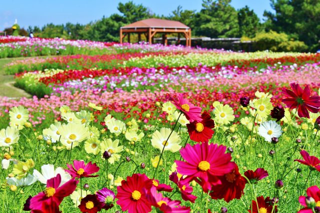 7. Akashi Kaikyo National Government Park