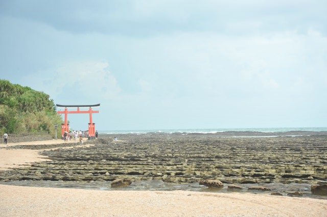 5. Aoshima shrine