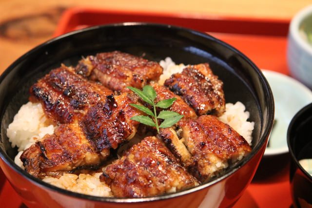 Best Unagi Restaurants In Japan! The Top 10 Unagi Restaurants You Must